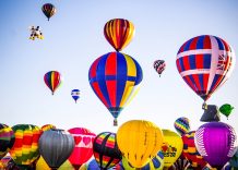 Where to find singles in Albuquerque