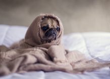 Will going out with a friend ruin your friendship? 13 Do Dating Help You Keep Going?
