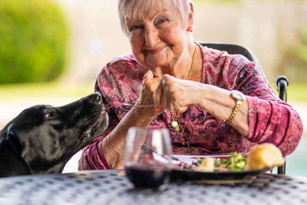 Old woman on a date giving a dog food