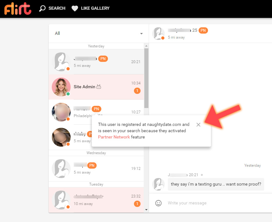 Screenshot of Flirt.com Partner Network Notification in Chat